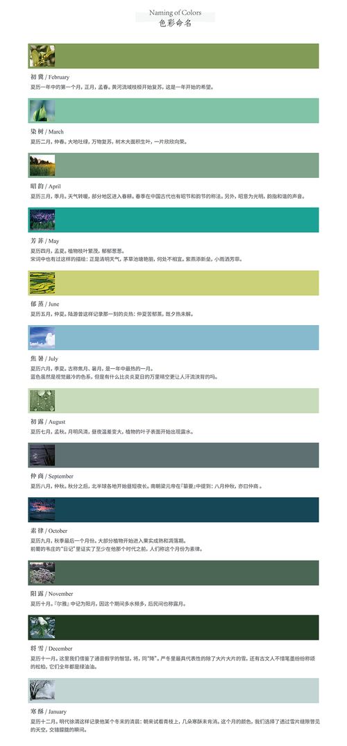 Thimple文具產(chǎn)品設計 以“喚心·青”系列引領數(shù)字內(nèi)容制作新潮流