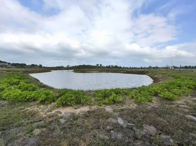 2024年海南省自然資源和規(guī)劃工作答卷 自然生態(tài)系統(tǒng)保護(hù)管理成效顯著