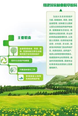 命運(yùn)共同體與生態(tài)共贏鏈 自然生態(tài)系統(tǒng)保護(hù)管理之路