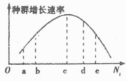 自然保護(hù)區(qū)的生態(tài)系統(tǒng)組成與鳥類角色
